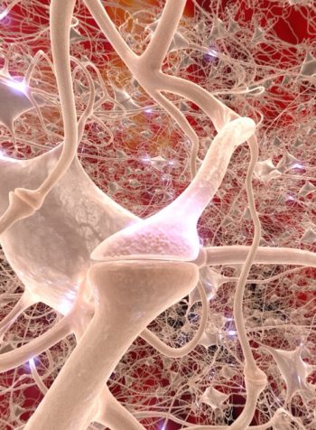 Neuron_16-9_f02815 Neuron_16-9_f02815